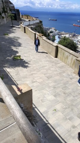 282 gibraltar affen